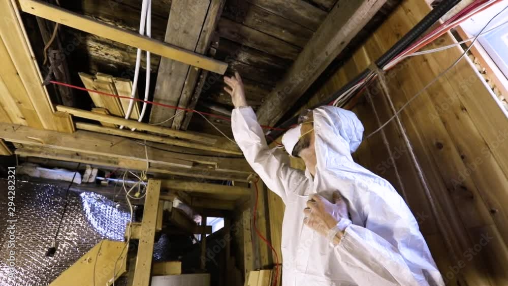 Indoor damp & air quality (IAQ) testing. A low angle and slow mo clip of a professional residential living quality inspector, standing beneath wooden floorboards and beams with signs of decay & fungi.