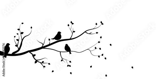 vector silhouette of the birds on branch