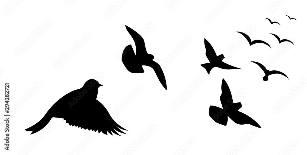 Flying bird silhouette vector illustration Flying bird silhouette vector illustration