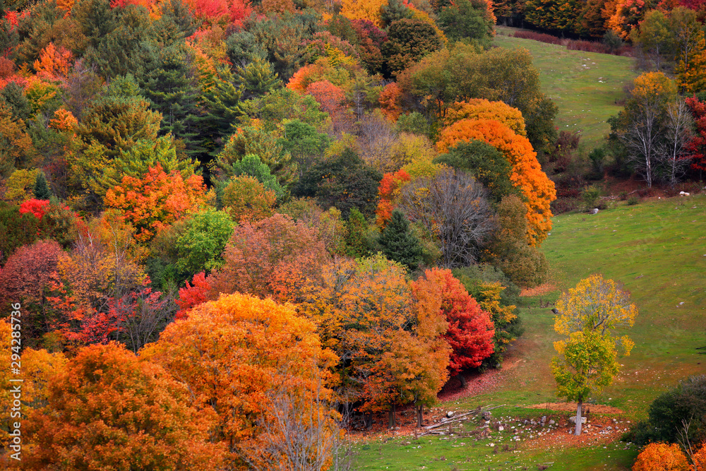 Fall foliage in rural Vermont