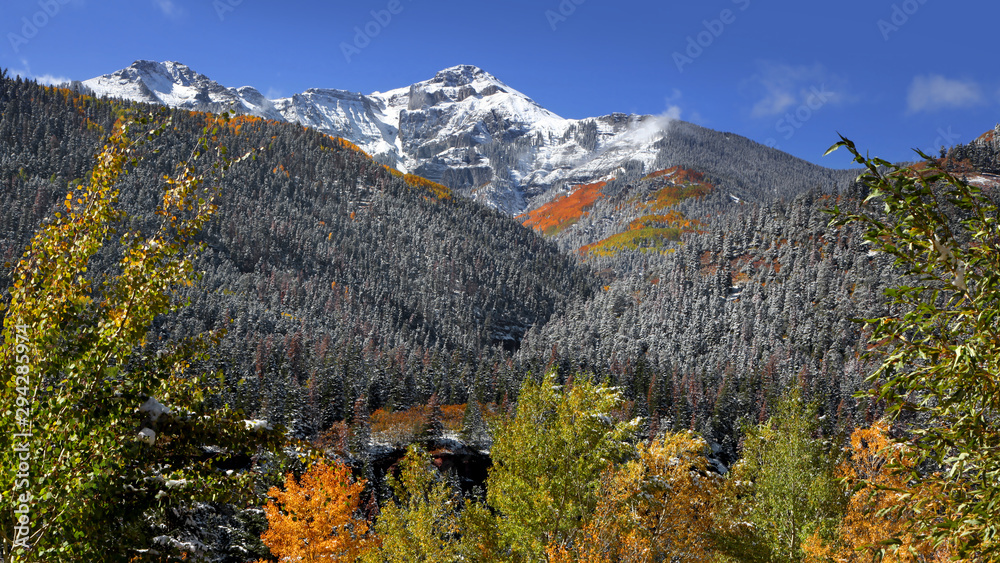 autumn,leaves,Sneffles,ridge way,aspen,red,yellow,trees,colorado,fall,mountain,scenic,peaks,landscape,nature,rocky,bushes,colors,colorful,mountains,beautiful,splendor,Foliage,snow,sky,blue,clouds,snow