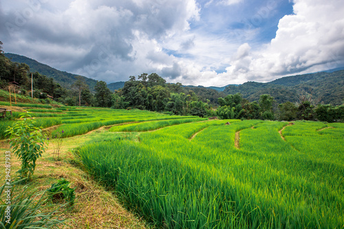 Nature Wallpaper (Mountains, Green Fields, Roadside Accommodation, Twilight Sky) The beauty of nature while traveling, with the wind blowing through the blurred leaves.