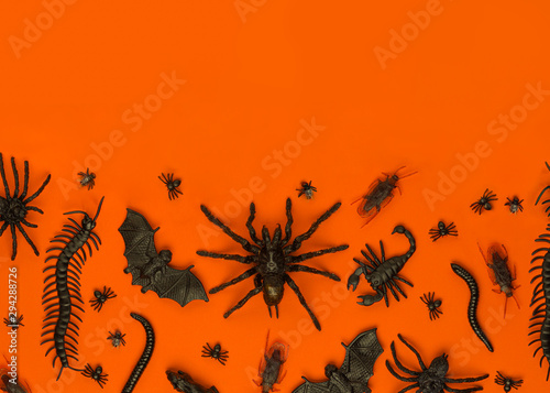 Foto Black Halloween creepy crawly bugs and spiders on orange background with blank s