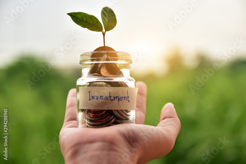 Hand holding Coins Money in jar Concept Saving financials investment and Business growth Save future,Tree growth on coins in jar