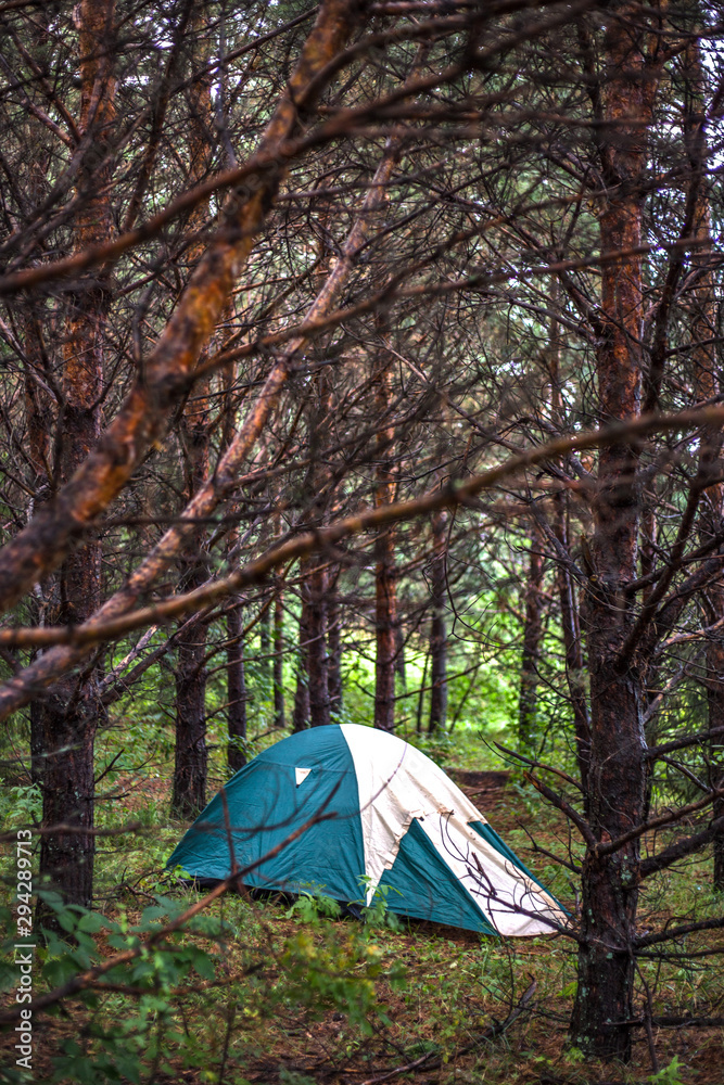 tent in the forest