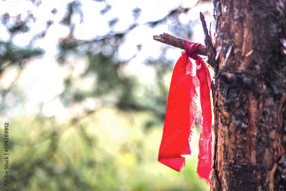 ribbon on the tree ribbon on the tree