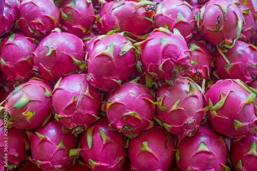 Many of Pink Dragon fruit. Many of Pink Dragon fruit.