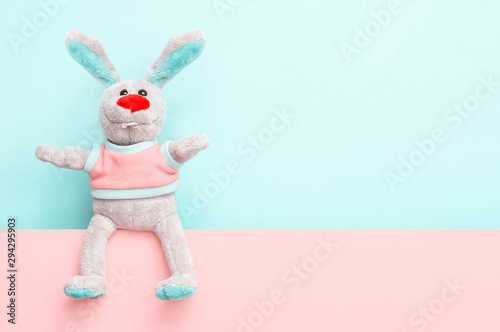 Funny bunny in a t-shirt sits on a skiey pink background photo