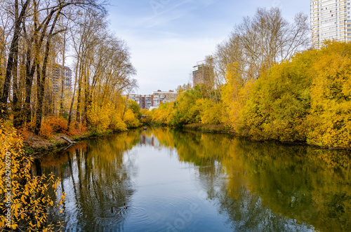 Autumn forest with trees with yellow leaves. © Сергей Лаврищев