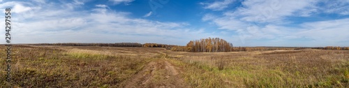 Panorama of the field with dirt roads, copses and forest in the background