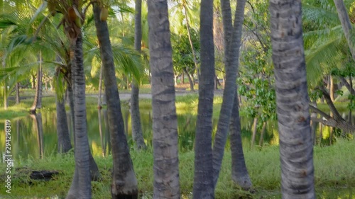 Moving camera walk by Mauna Lani Fish Ponds Reflections, Hawaii Mauna Lani photo