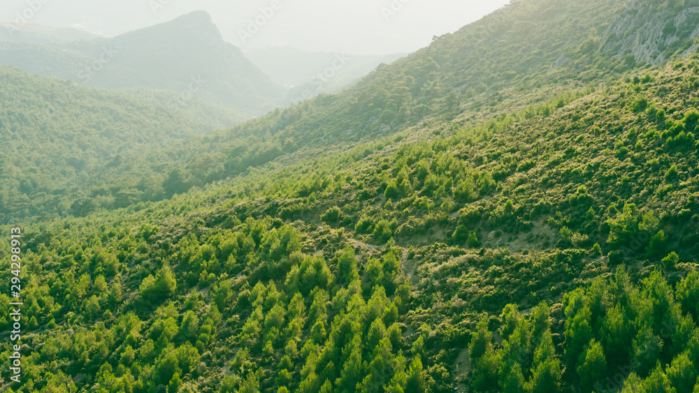 Green hills and field landscape at sunset. Narure background with foggy sky. Aerial view