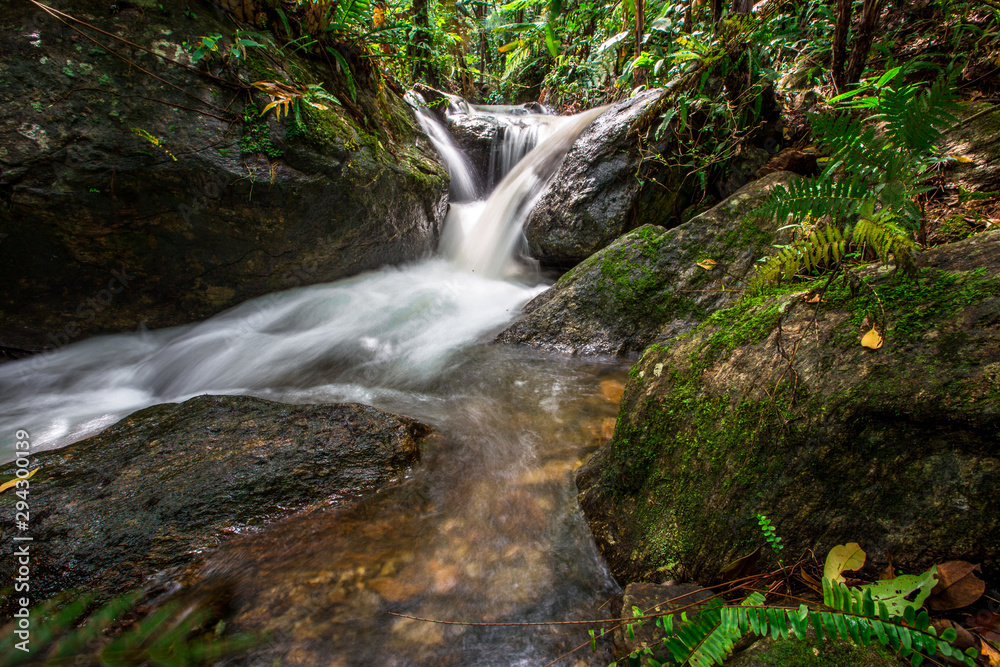 Natural blurred background of waterfalls, fast-flowing currents and water droplets from the wind blowing among the rocks and surrounded by big trees, spontaneous beauty