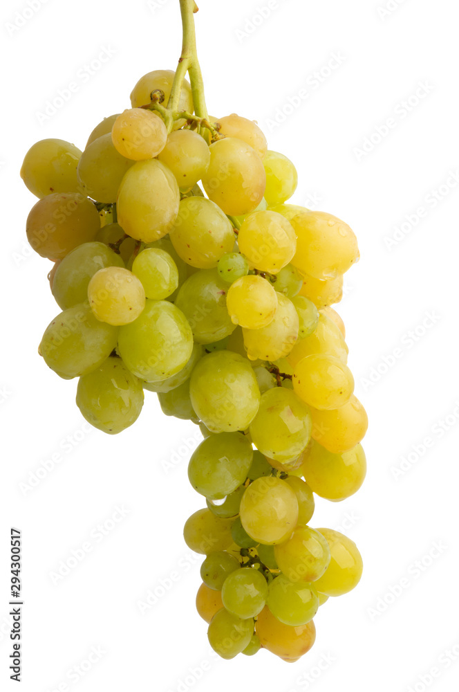 bunch of grapes isolated bunch of grapes isolated