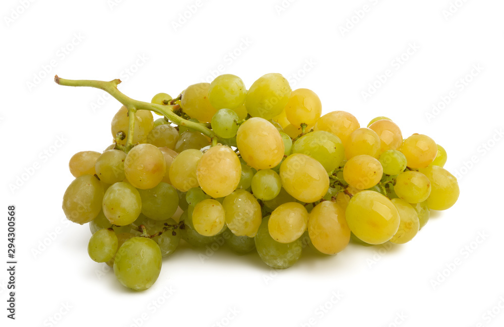 bunch of grapes isolated