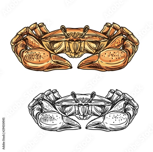 Crab, seafood animal, sea shellfish or crustacean