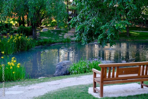 Bench overlooking a pond