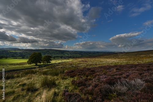 Yorkshire countryside
