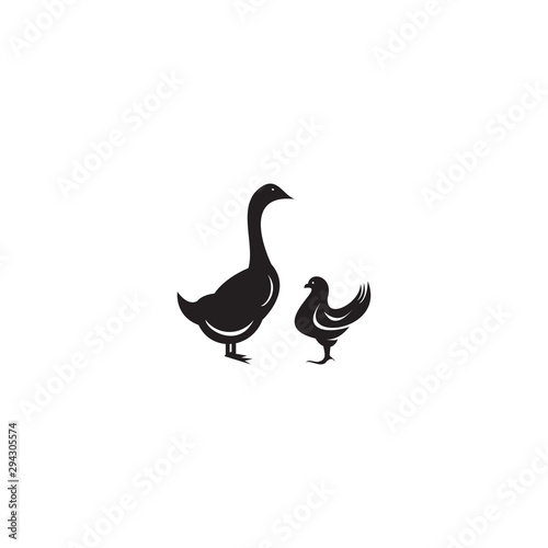 collection of cattle logo vector. Chicken and duck design. - Vector