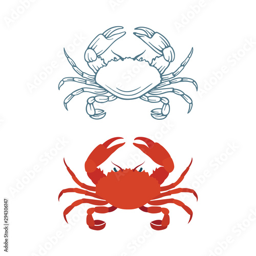 Crayfish. Sketch and realistic drawn crayfish vector illustrations set. Part of seafood set. 