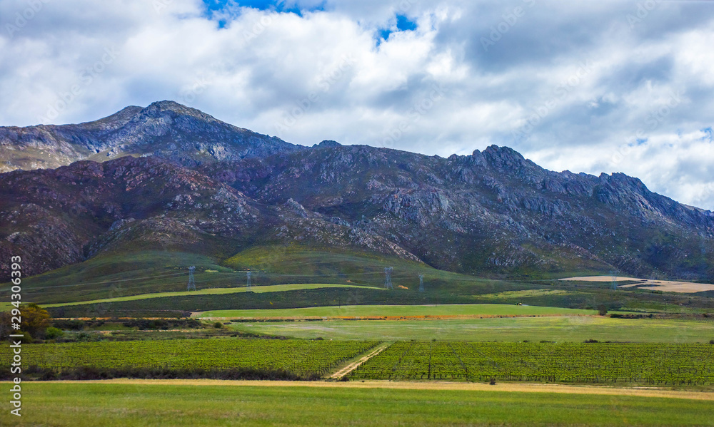 South African, Vineyards