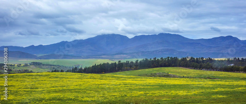 South African grasslands