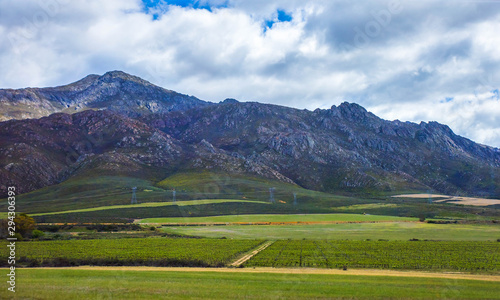 South African, Vineyards