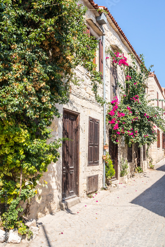 Leinwand Poster Stone houses covered with bougainvillaea,