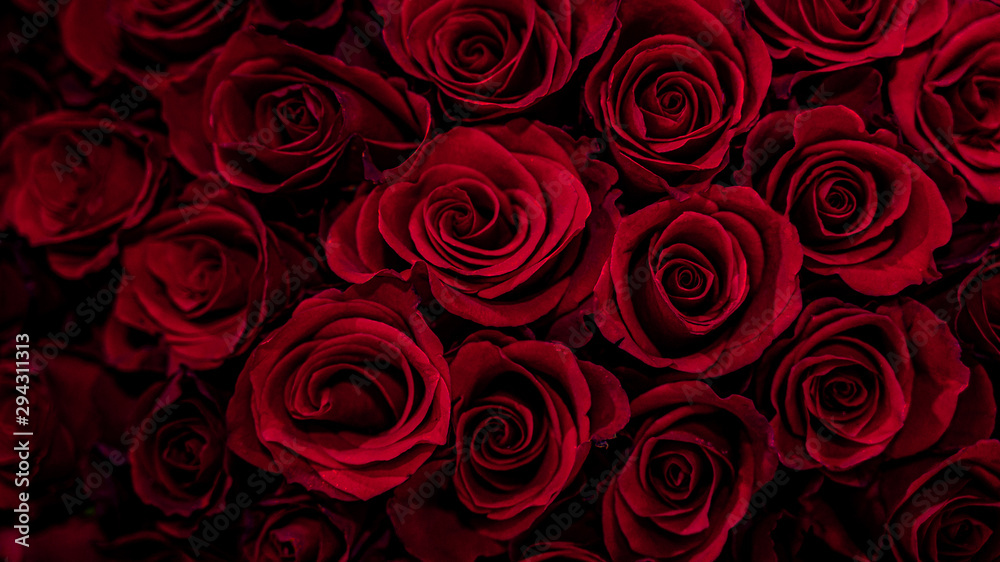 Natural red roses texture background,Beautiful Rose texture for cover or  banner background,Love romantic background. Stock Photo | Adobe Stock
