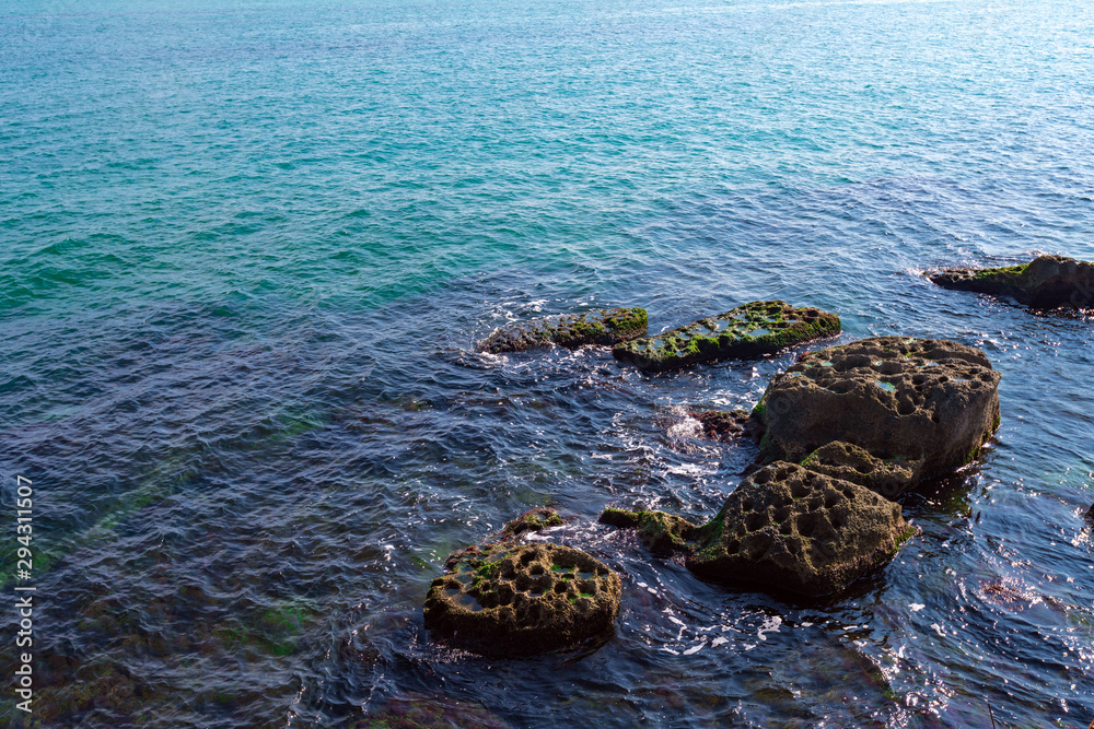 Rocky seashore with stones overgrown with green algae
