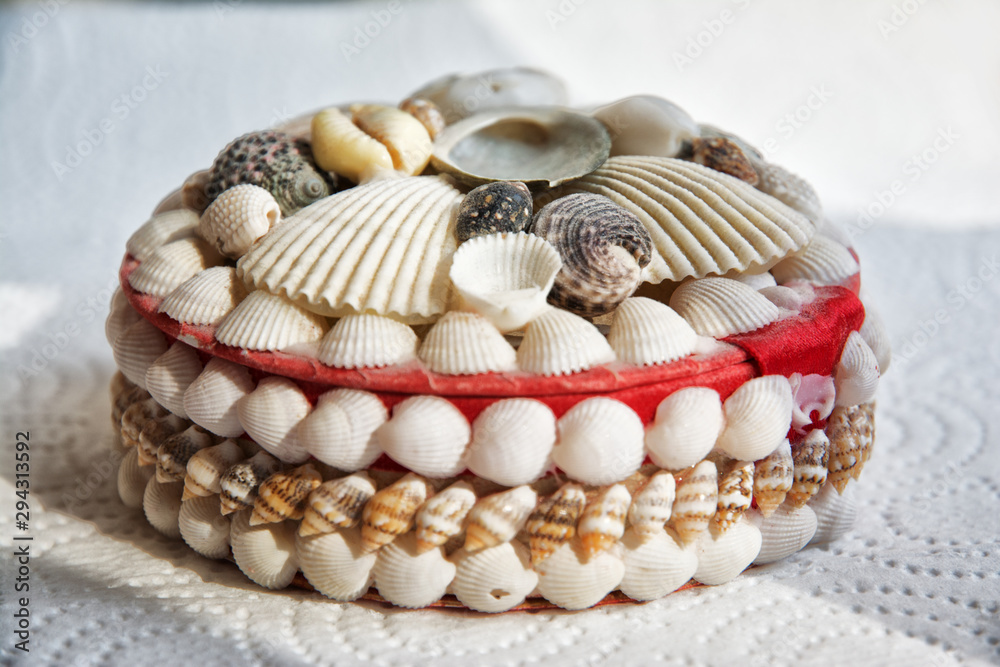 shell, sea, seashell, beach, white, nature, isolated, shells, mollusk, food, ocean, summer, shellfish, cockle, macro, collection, seafood, decoration, brown, life, aquatic, marine, object, seashells, shell, sea, seashell, beach, white, nature, isolated, shells, mollusk, food, ocean, summer, shellfish, cockle, macro, collection, seafood, decoration, brown, life, aquatic, marine, object, seashells,