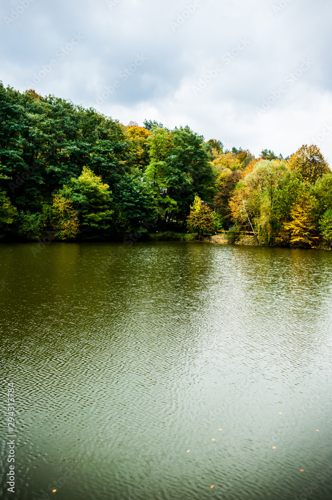 Beautiful colorful autumn leaves and trees on the lake