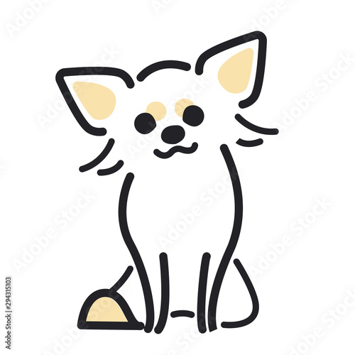 犬　ポーズ　表情　１匹　ちわわ　おすわり