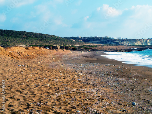 Sea turtles on the beach. Cyprus photo