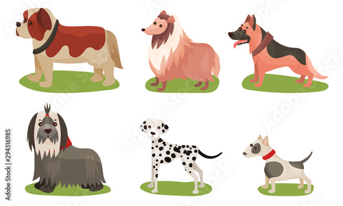 Vector Illustration Set With Dogs Breed Isolated On White Background