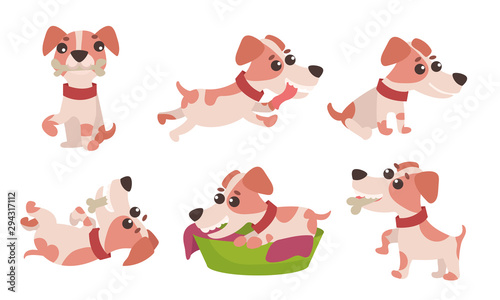 Flat Illustrations Characters Set With Funny Jack Russell Terrier Daily Activity