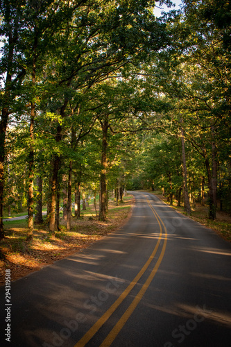 road in the forest