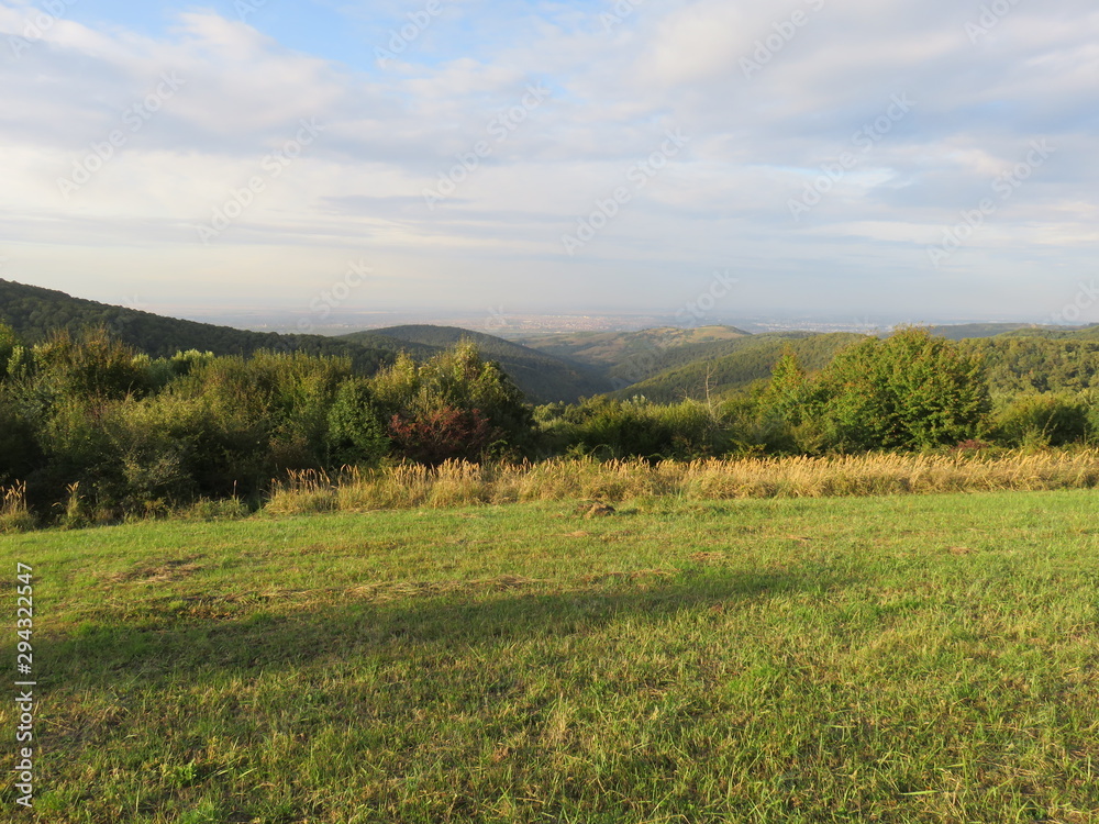 Green pasture and distant green hills in afternoon