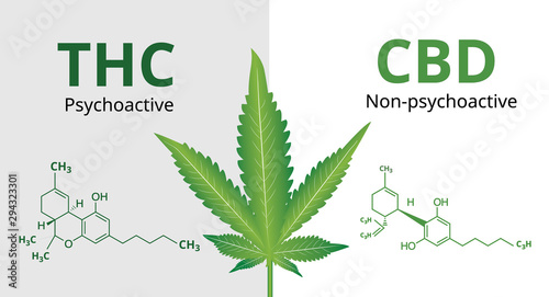 Cannabidiol (CBD) and Tetrahydrocannabinol(THC) with Marijuana leaves, Vector illustration