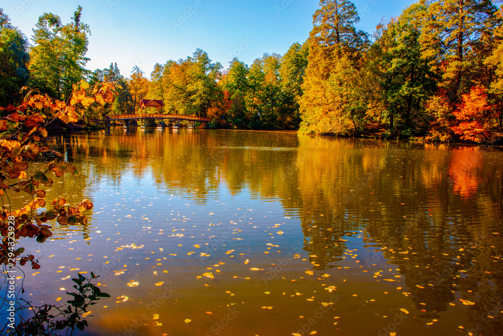 Fototapeta premium piękny jesienny krajobraz ze spadającymi liśćmi w jeziorze