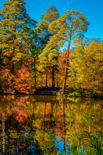 beautiful autumn landscape with falling leaves in the lake
