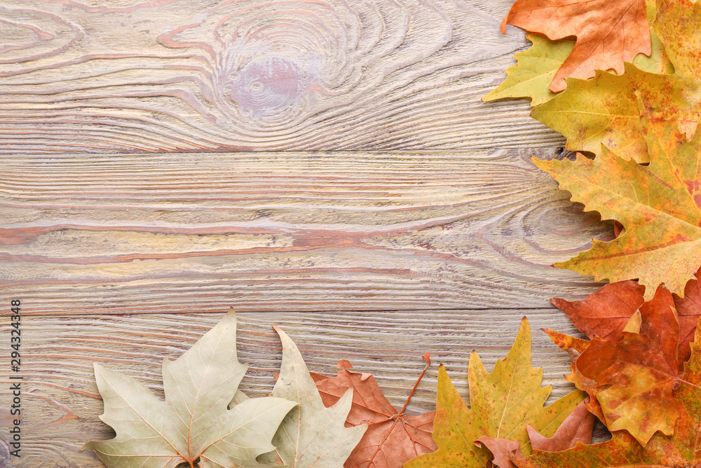 Fototapeta premium Different autumn leaves on wooden background