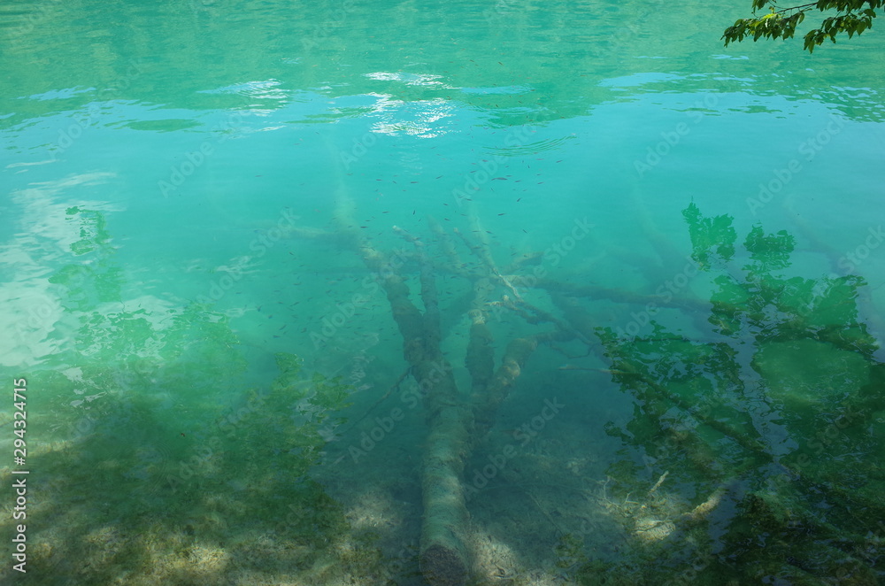 Fototapeta premium Plitvice Lakes National Park Croatia
