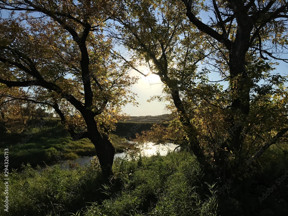 Fototapeta premium Saskatchewan’s Hidden beauties