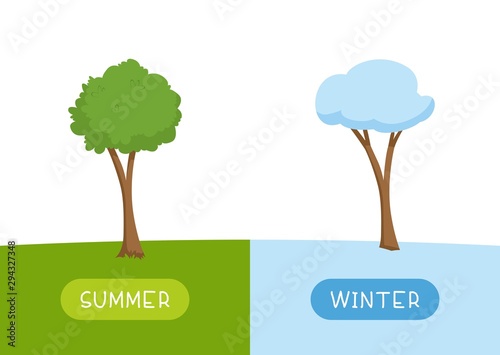 Educational word card with antonym examples template. Flashcard for english language studying. Seasons concept, summer and winter. Trees with leaves and snow flat vector illustration with typography