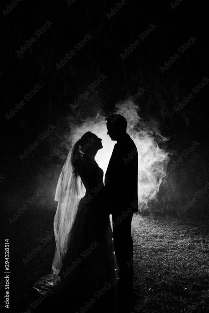 silhouette of a bride and groom with a smokey background