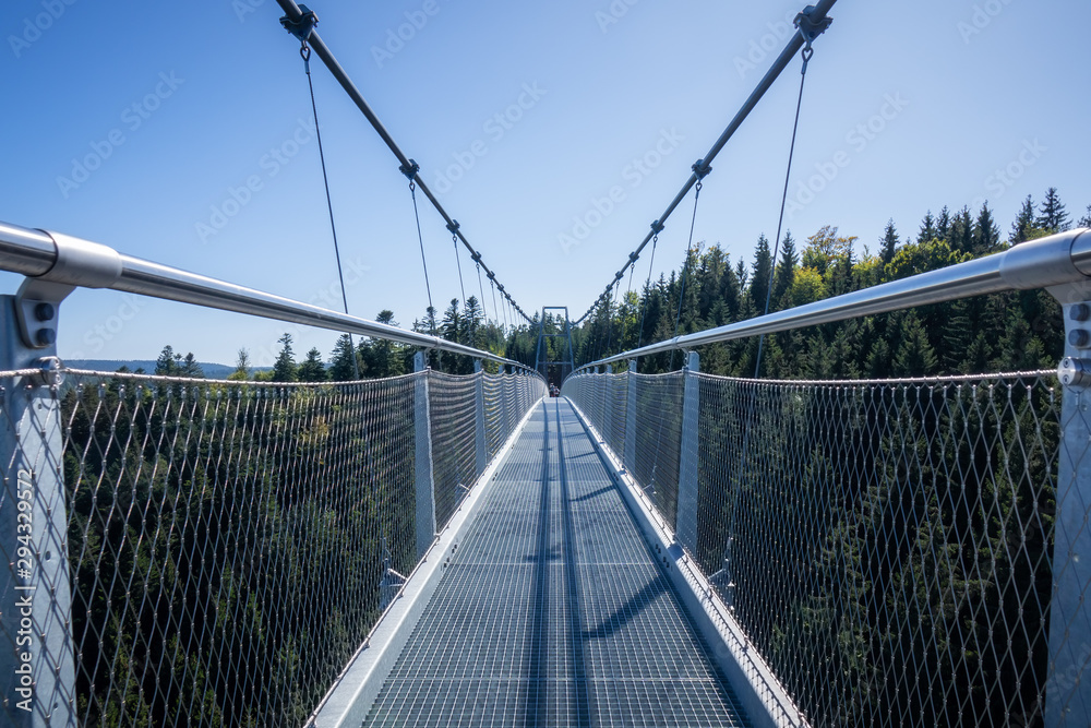 Fototapeta premium cable bridge at Bad Wildbad south Germany