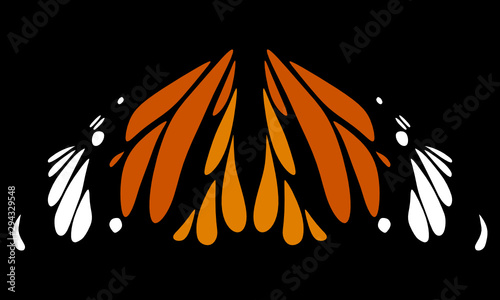 butterfly wing pattern vector on black background