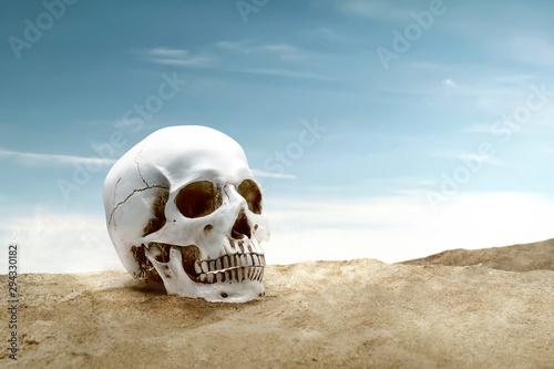 Human skull on the sand