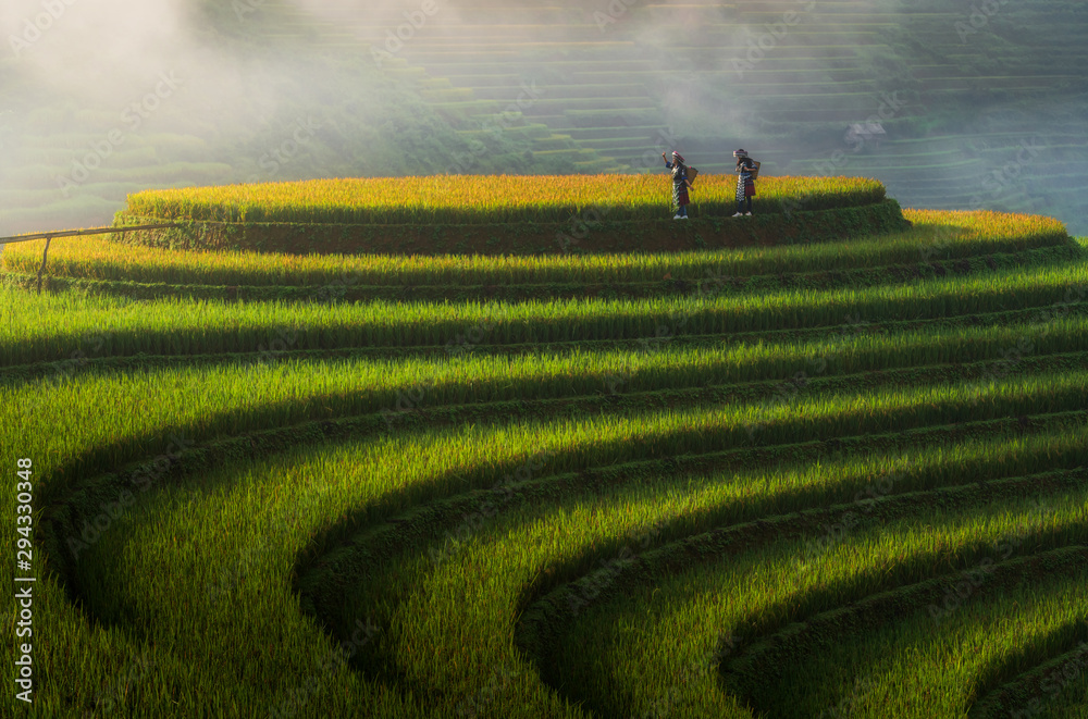 Landscape rice fields on terraced of Mu Cang Chai, YenBai, Vietnam - obrazy, fototapety, plakaty 